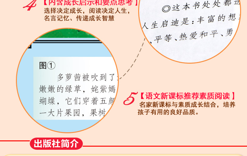 绿野仙踪 彩插励志版无障碍阅读 语文新课标必读 智慧熊系列