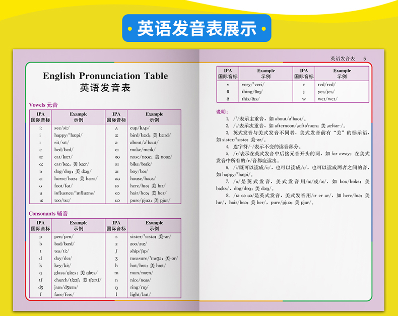 新课标中小学生英汉汉英词典专用工具书多功能英语词典彩图版 英语字典小学生1-6年级 英语工具书