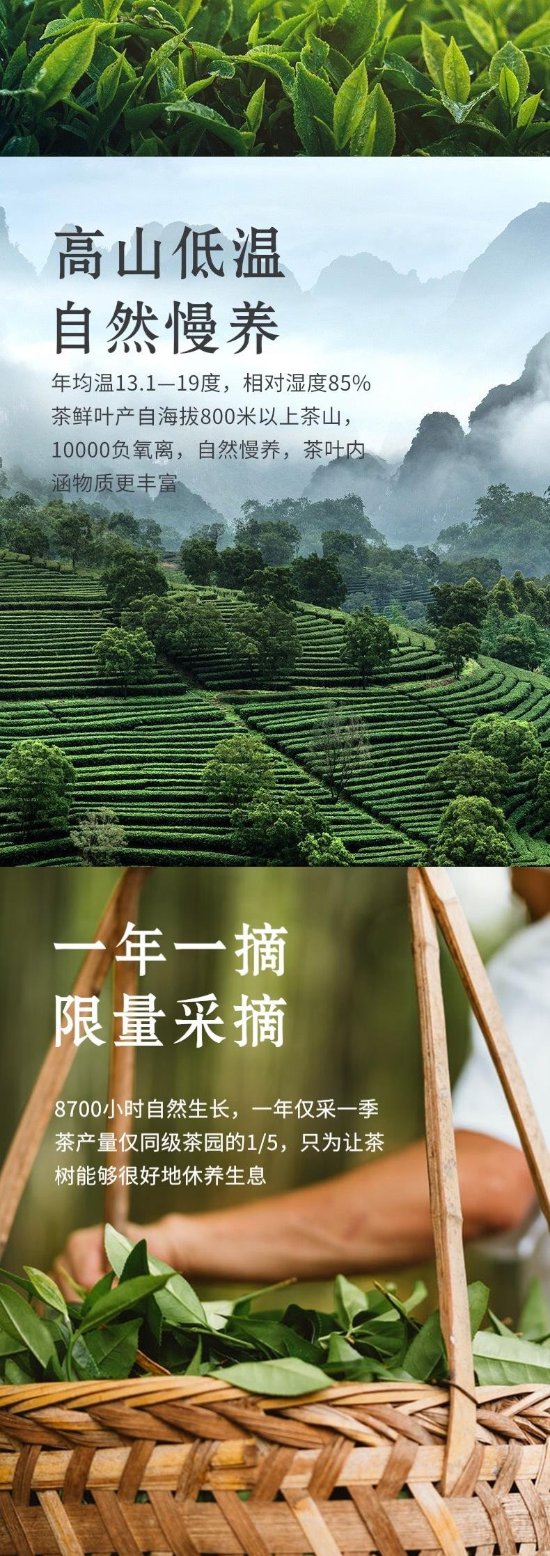 福叠泉 【福建邮政】寿宁高山红茶 生态好茶