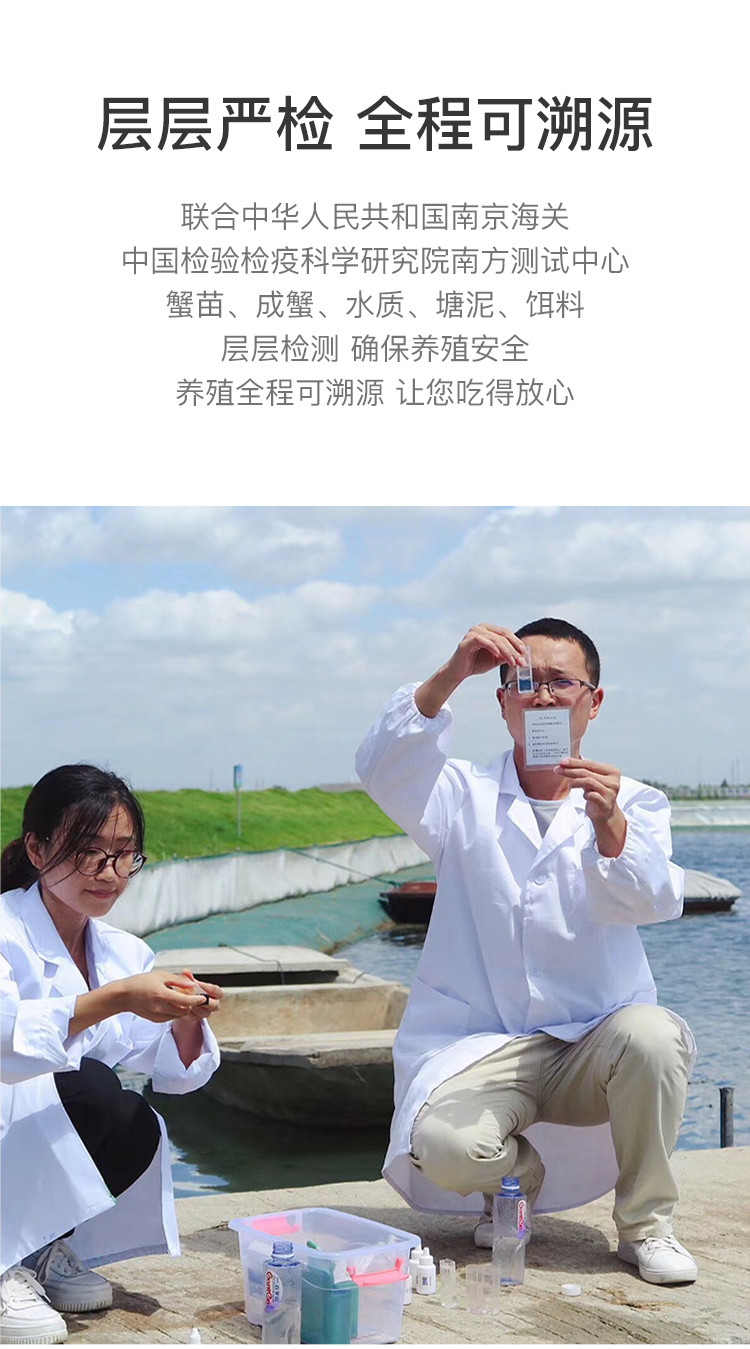 新孟河大闸蟹 【1298型】公蟹4两 母蟹3两 不含草绳净重 4对8只装  礼券提蟹卡/礼盒