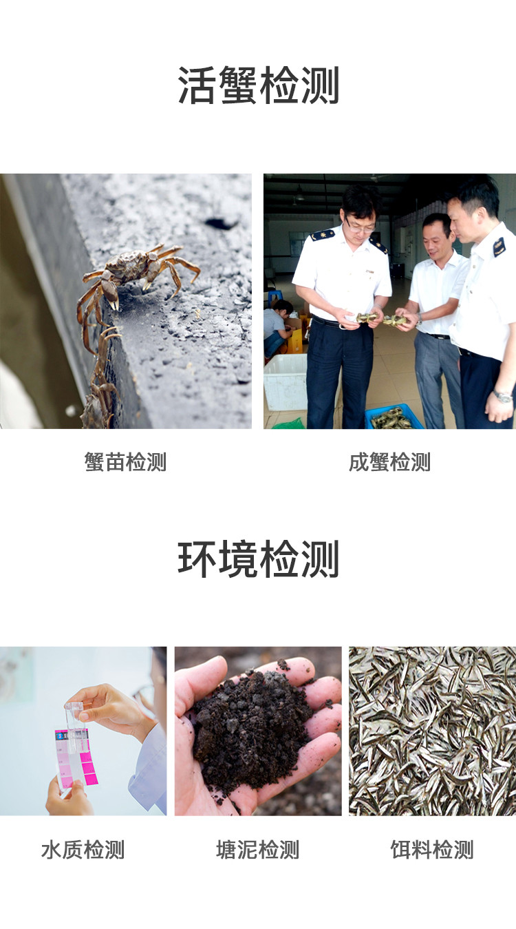 新孟河大闸蟹 【1298型】公蟹4两 母蟹3两 不含草绳净重 4对8只装  礼券提蟹卡/礼盒