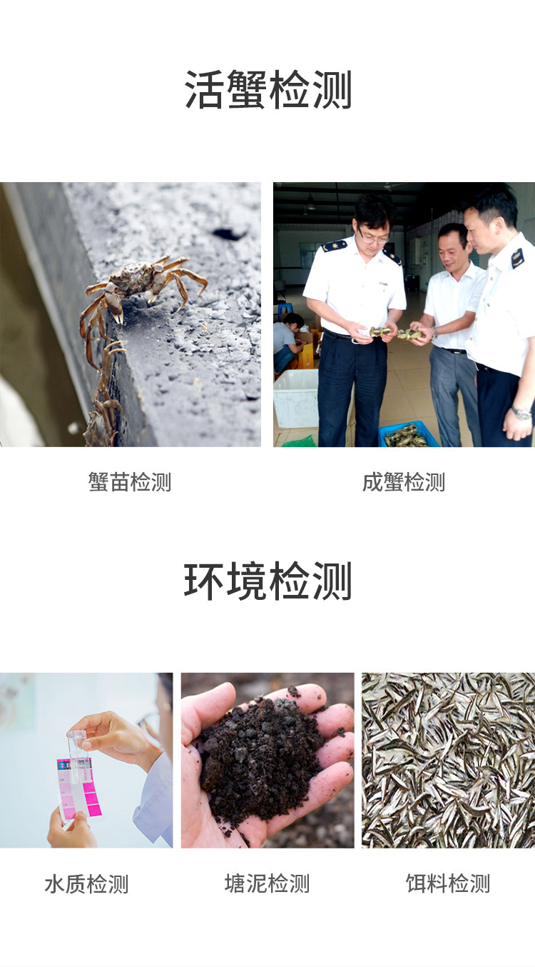 新孟河大闸蟹 【1098型】公蟹3.8两 母蟹2.8两 不含草绳净重 4对8只装 礼券提蟹卡/礼盒