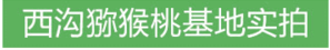 【 助农扶贫】湖北张湾西沟长坪塘 新鲜绿心猕猴桃 奇异果 孕妇水果（大果24个）包邮