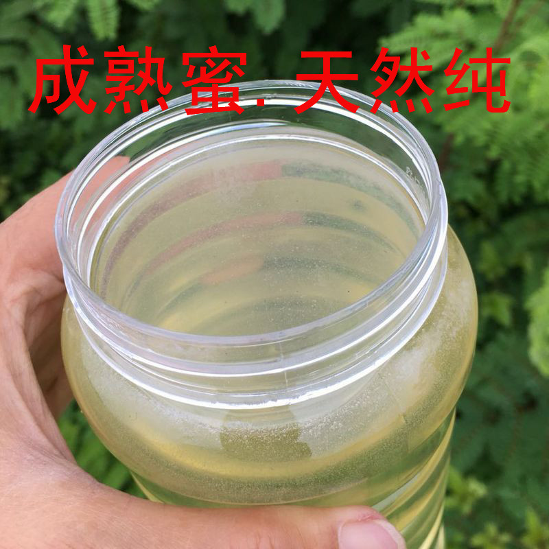 凡茂 农家土蜂蜜 洋槐蜜 荆条蜜1000g