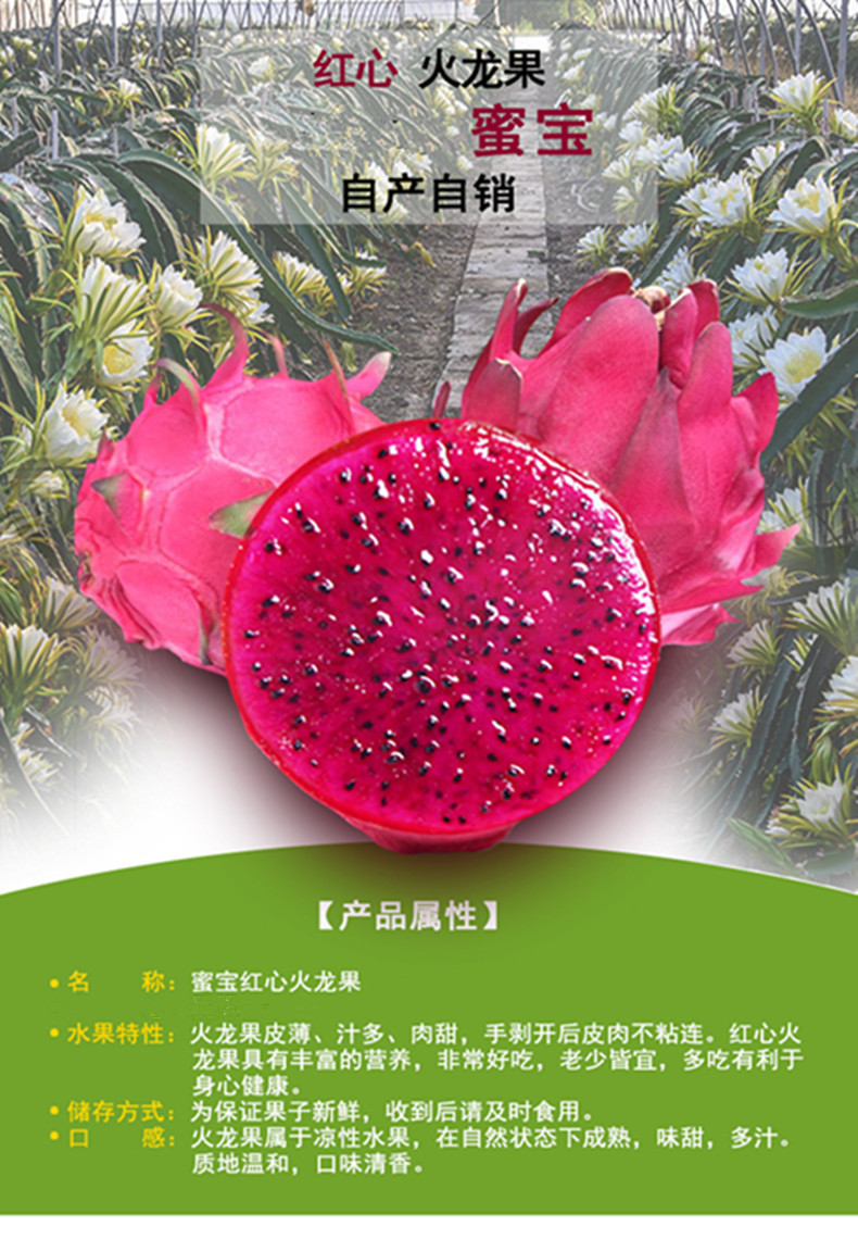 【邮政扶贫】玫瑰蜜宝红心火龙果新鲜水果现摘现发4只/1200g包邮实惠装