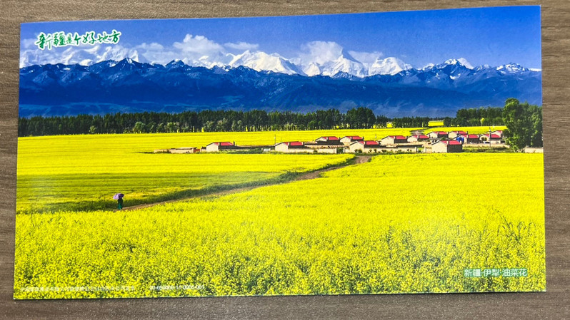 农家自产 【邮政专属】新疆是个好地方明信卡*10张
