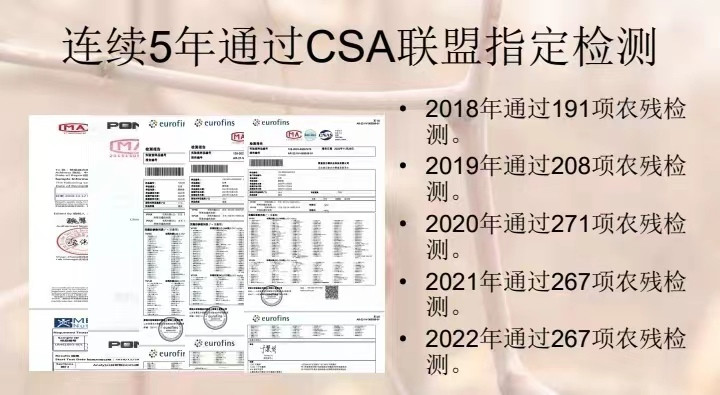 耕德 【邮政助农】新疆生产建设兵团224团和田金丝枣500克*1袋