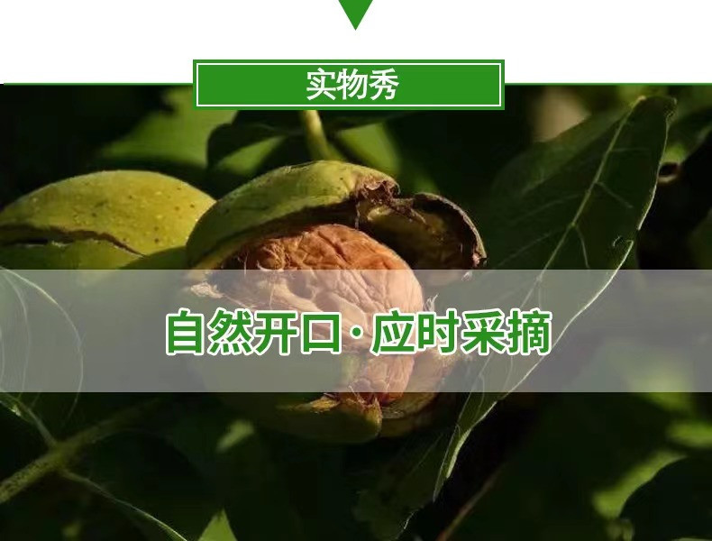 昆泉福菓 【邮政助农】新疆和田薄皮核桃500克袋装 全国包邮