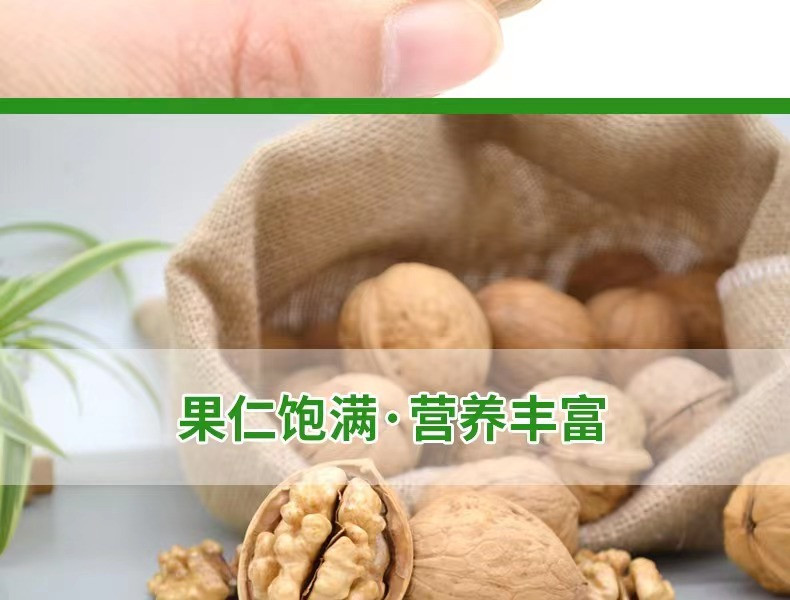 昆泉福菓 【邮政助农】新疆和田薄皮核桃500克袋装 全国包邮