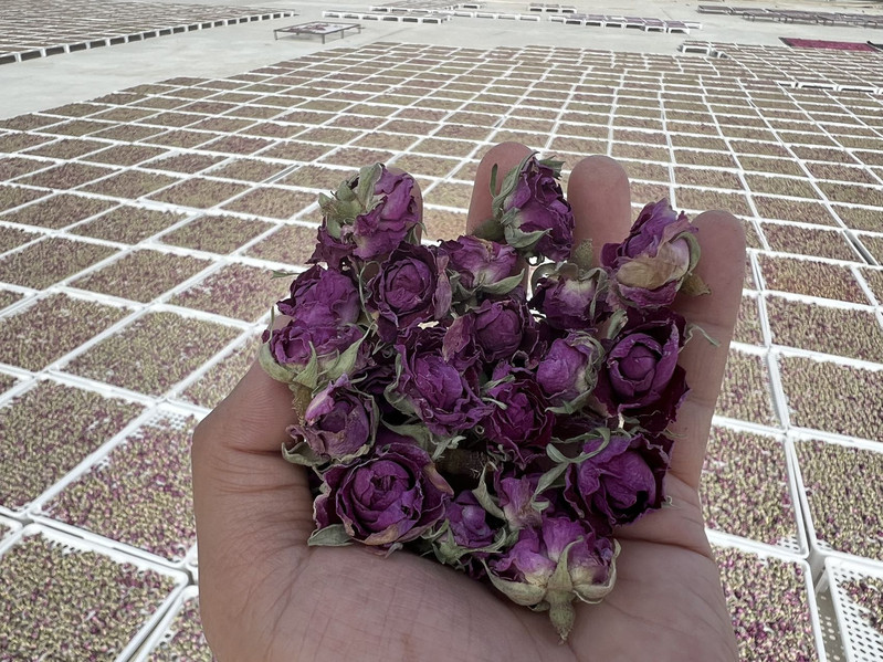 阿热勒 于田阿热勒沙漠玫瑰花蕾（代用茶）30克/罐 产地直发
