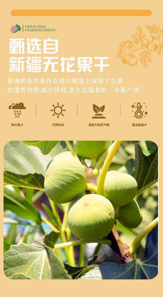 茉语凡 新疆和田无花果干250克*2袋 全国包邮