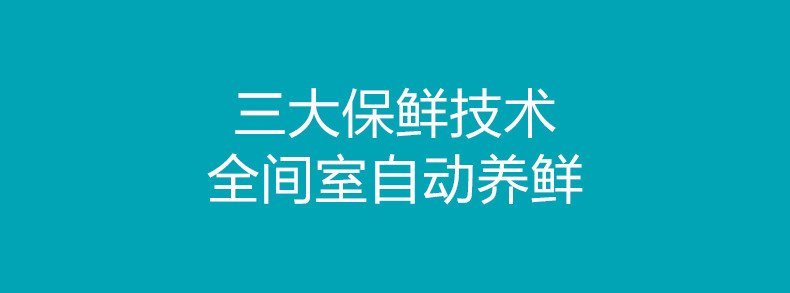 VIOMI/云米 BCD-446WGLA 21face大屏冰箱 镜面四门十字对开 家用智能WIFI