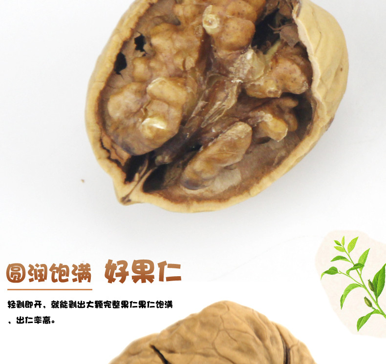 【菏泽馆】雅致温馨旺铺薄皮核桃100克1袋装特产坚果核桃孕妇零食大核桃年货