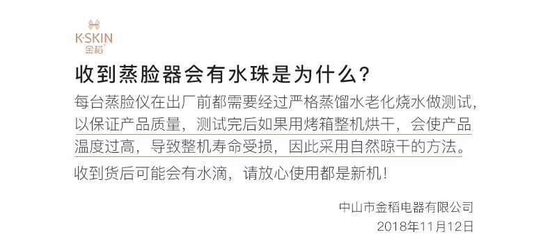 金稻 蒸脸器纳米喷雾补水仪热喷蒸面器家用面部美容仪蒸脸仪喷雾机KD2331