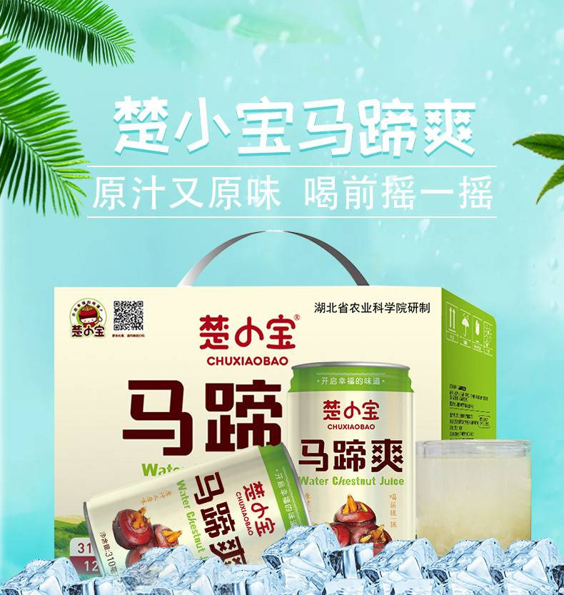 七仙红 【孝昌扶贫】楚小宝马蹄爽礼盒装 荸荠饮料310ml*12罐果汁果肉水果饮料整箱