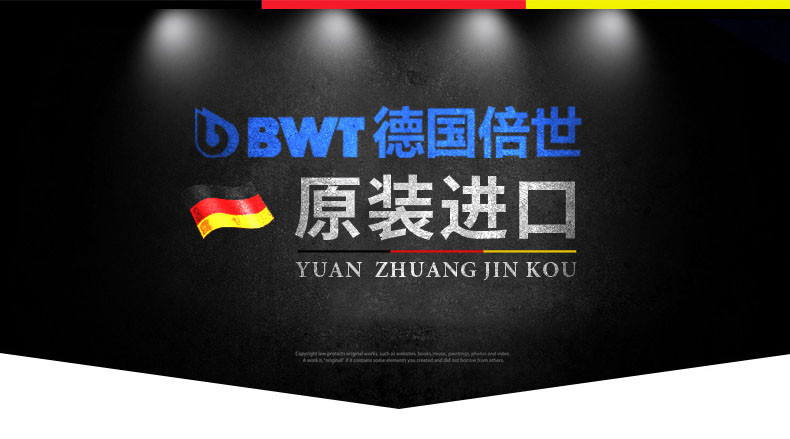 BWT德国倍世 原装进口前置过滤器 自来水家用厨房净水器  Protector BW