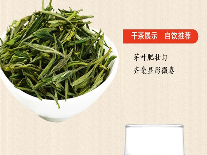 【邮乐长沙县馆】骄杨 毛尖礼盒 500g（50g*10袋）