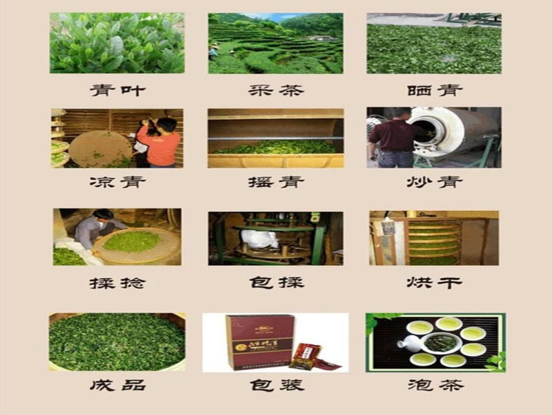 【邮乐长沙县馆】骄杨 毛尖礼盒 500g（50g*10袋）