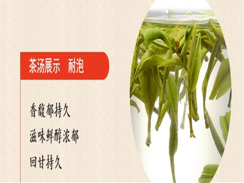 【邮乐长沙县馆】骄杨 毛尖礼盒 500g（50g*10袋）