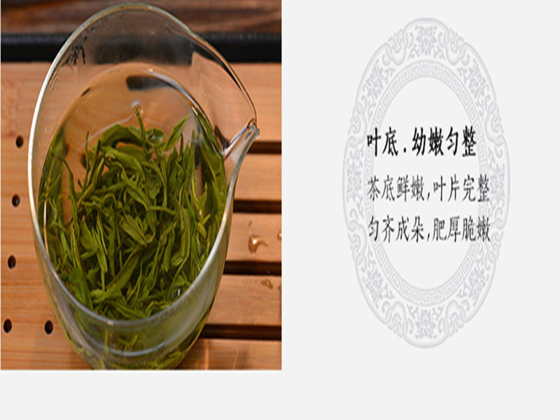 【邮乐长沙县馆】金井牌 绿茶精品500g（100g*5包）