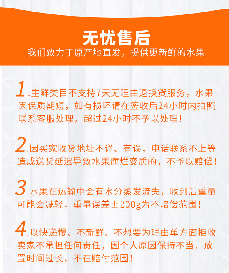 越黄龙 越南玉芒 新鲜包邮 果农原生态种植 5斤/箱