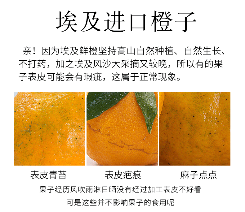 【领券减十元】匠制 埃及脐橙 进口橙子 180G-230G单个/8个装