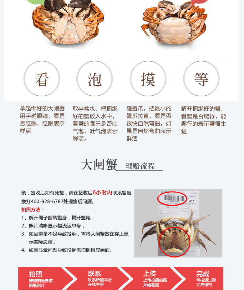 蟹园 六月黄大闸蟹礼盒888型（1.5-1.8两10只装) 公母随机大闸蟹