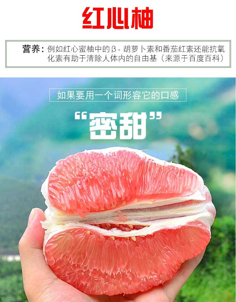 元甲山 生态红心蜜柚 柚子 红心柚 2个装 5斤左右