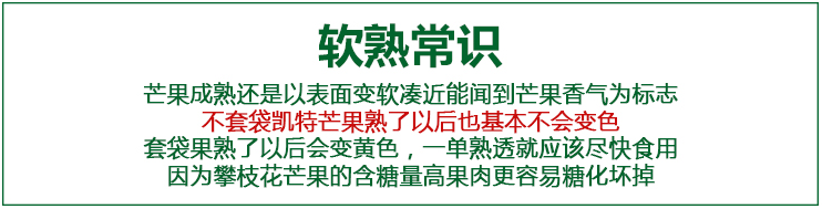 仲三 四川攀枝花凯特芒果 9斤 统一次日发货