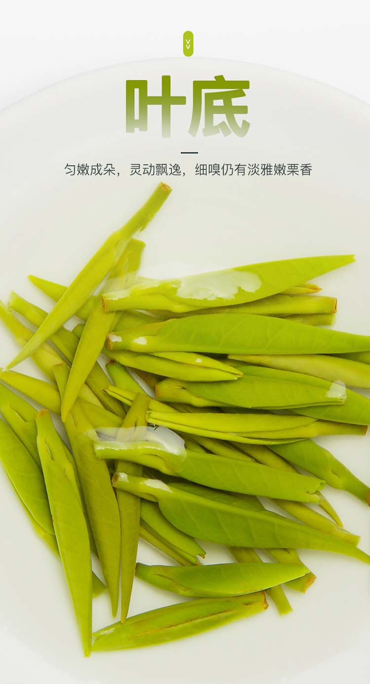 艺福堂 青叶甘露明前特级50g*2