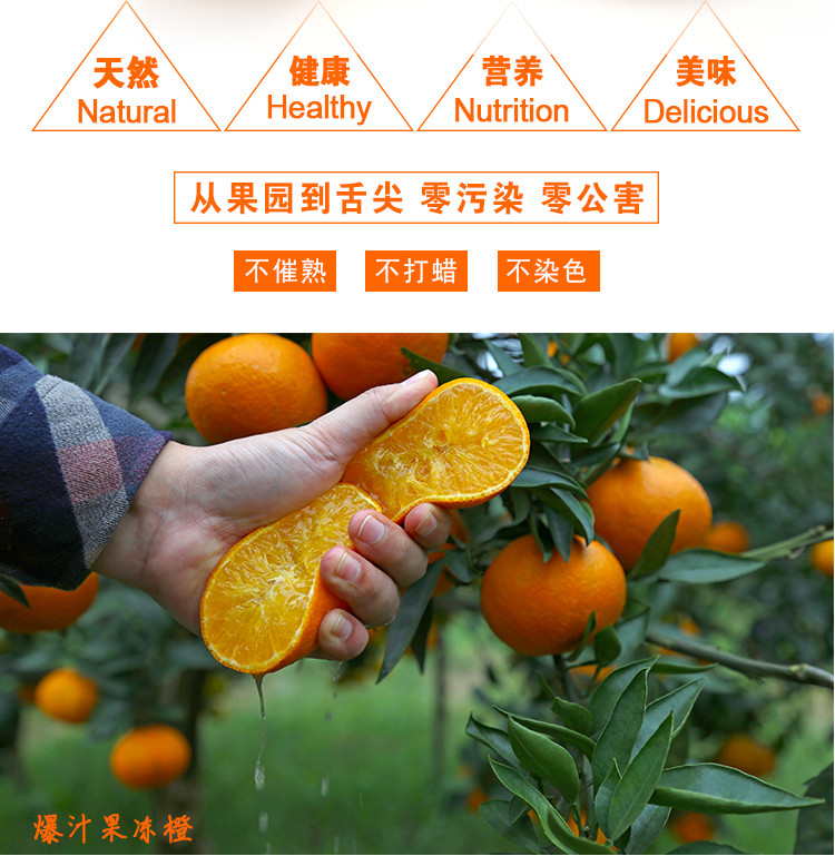 【乡鹰购】 当季新鲜水果爱媛果冻橙8斤装（18-24个）