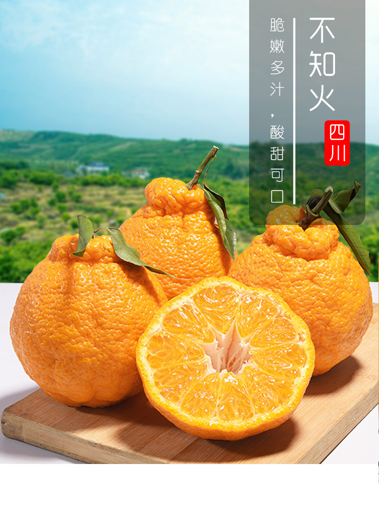 四川丹棱正宗不知火丑橘新鲜水果5斤带箱