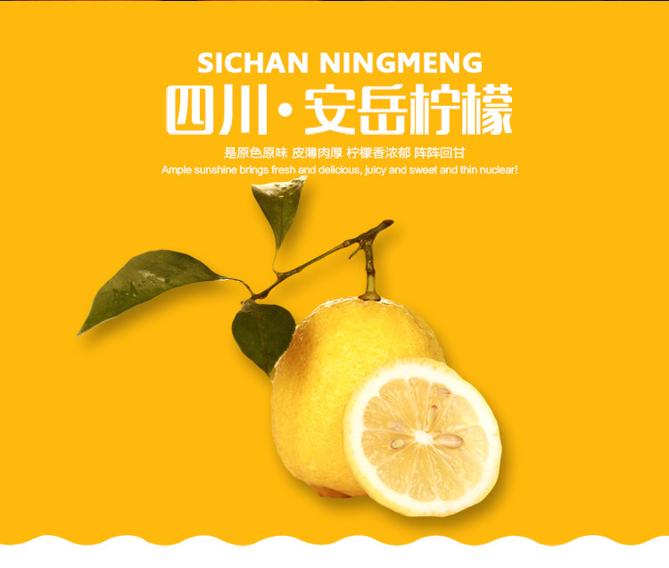 【安岳邮政】柠檬小仙 安岳新鲜黄柠檬一级果4个装水果现发包邮