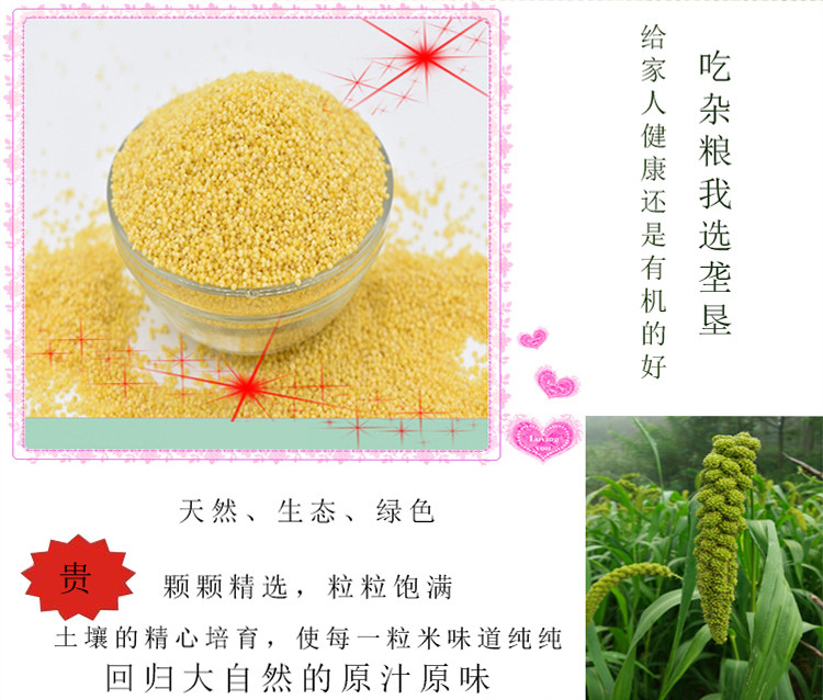 垄垦 内蒙有机黄小米550g 新鲜小黄米敖汉五谷杂粮谷子