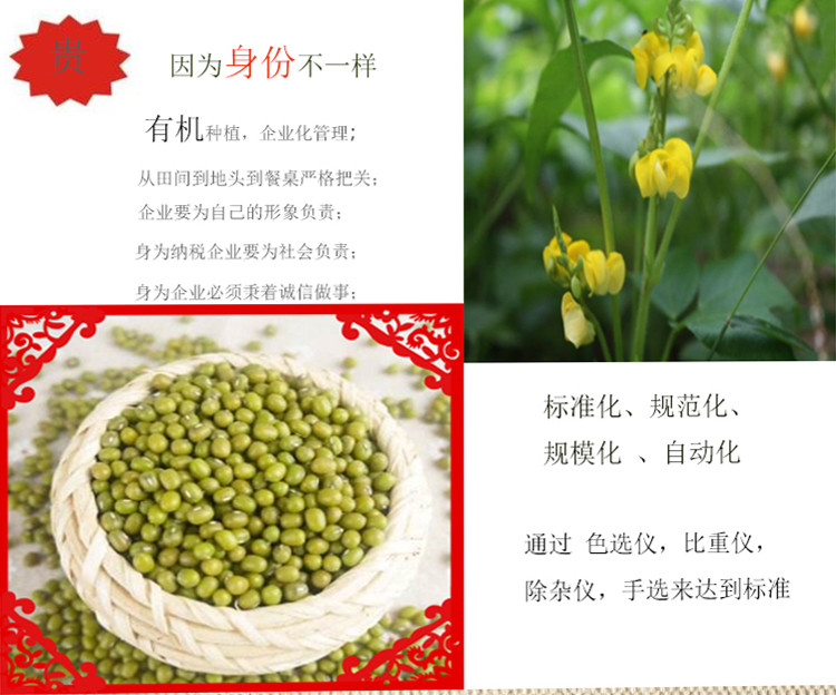 垄垦 有机绿豆550g东北五谷杂粮粗粮笨豆天然杂粮新鲜生绿豆发豆芽