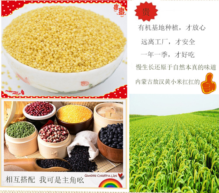 垄垦 内蒙有机黄小米550g 新鲜小黄米敖汉五谷杂粮谷子