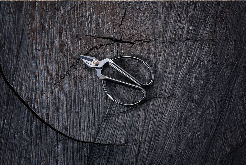 张小泉剪刀套装不锈钢家用剪强力厨房剪合金指甲剪组合剪刀