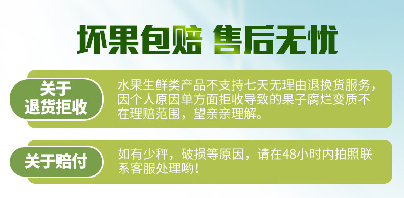 【现摘现发】山东特产哈密瓜网纹密瓜5斤羊角蜜甜瓜香瓜玫珑瓜新鲜水果冰激凌口感