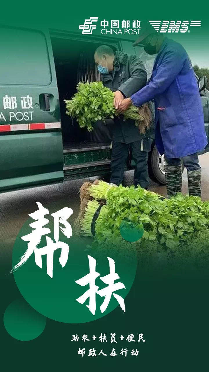 【邮政便民助防控，新鲜蔬菜送到家】自选品种下单，限海拉尔区范围内配送,13:00前下单当天送达