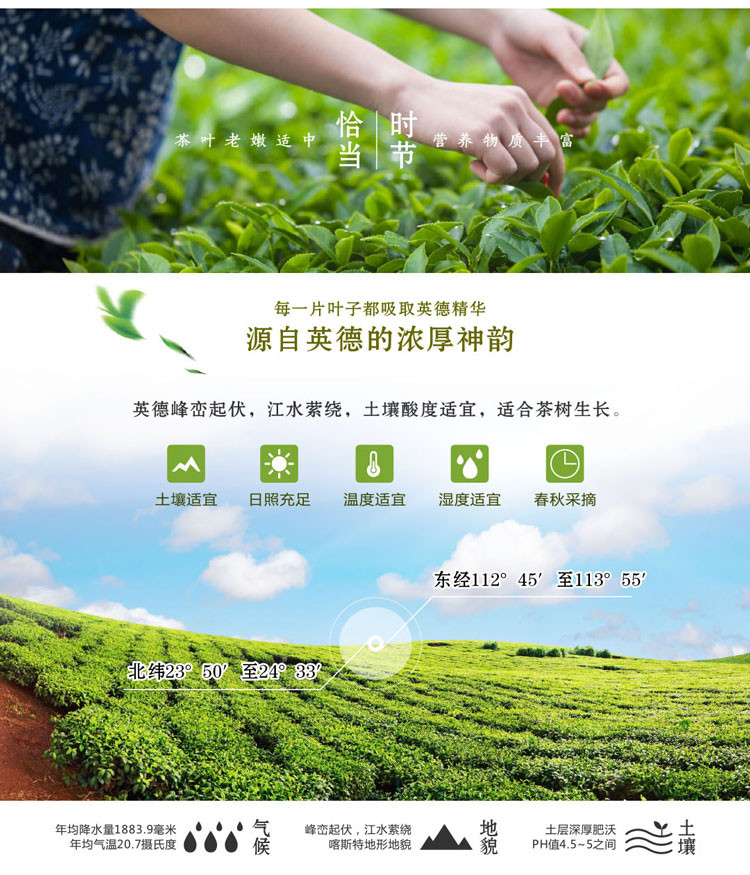 扶贫惠农尚品德茗 【礼】180g盒装英德红茶英红九号