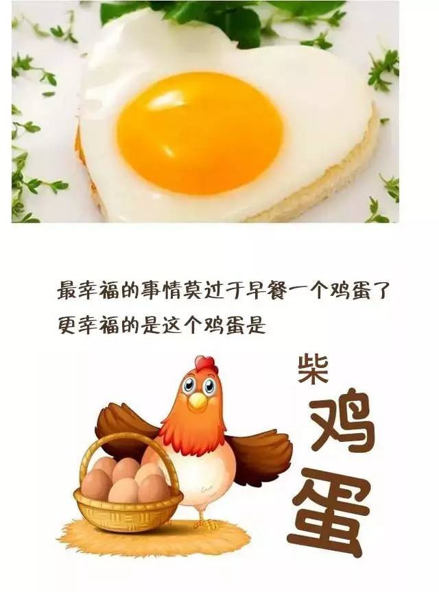 【赞皇县扶贫地方馆】农家自产 2017太行山散养柴鸡蛋 30枚装 包邮
