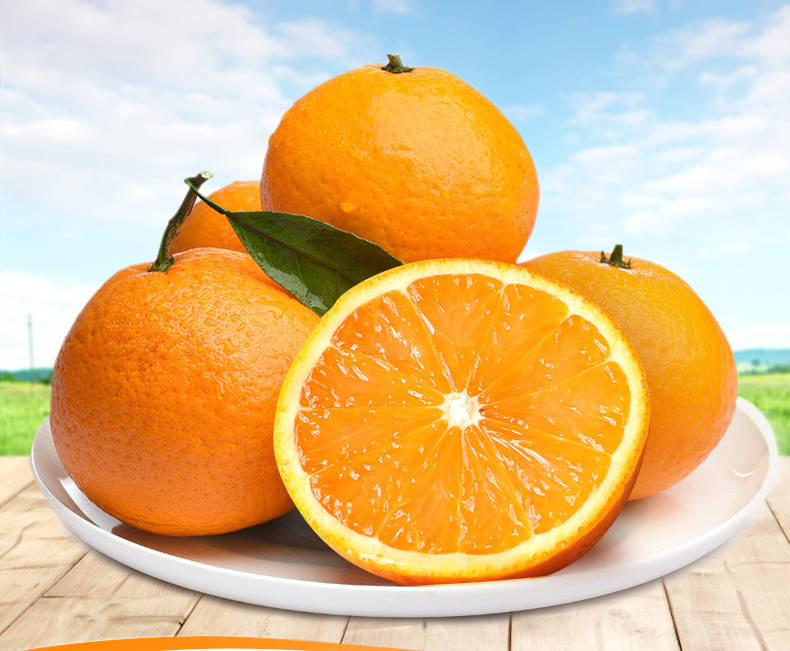 青见柑橘丑橘母本手剥橘子桔子8斤装 当季新鲜水果