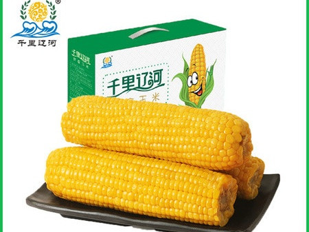 千里辽河 【四平】鲜食玉米5穗（双辽发货）1000g