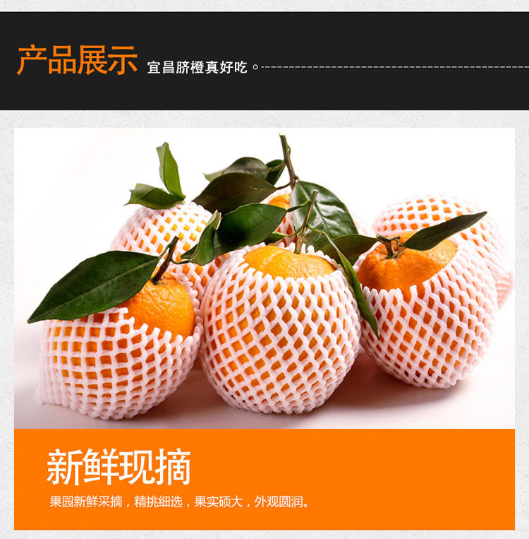 夏橙秭归橙子脐橙新鲜水果包邮5斤应季伦晚