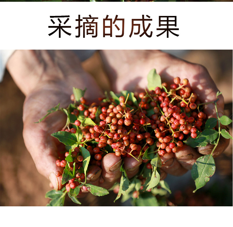 誉福农 花椒50g大红袍藤椒泡脚花椒粉宜昌香料调料大全特级麻椒花椒粒