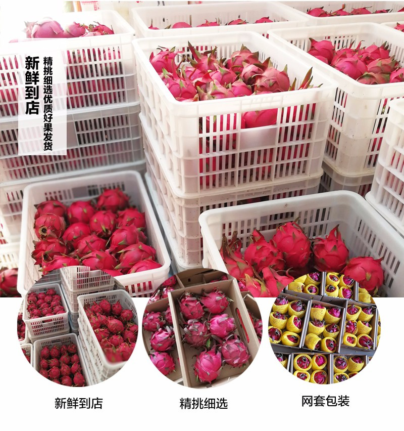 誉福农 现摘大果红心火龙果 新鲜红肉水果当季带箱5斤装实惠包邮