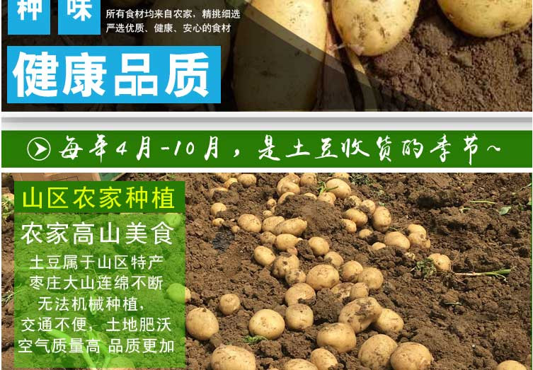 长阳高山土豆 5斤 迷你小土豆新鲜蔬菜马铃薯