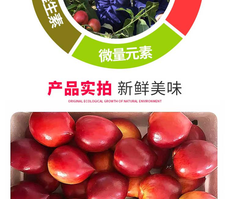 现摘现发油桃 包邮桃子当季水果 5斤