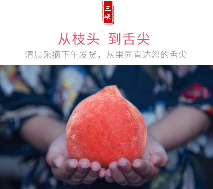 桃子水蜜桃 当季孕妇水果新鲜 净重5斤 约20个左右