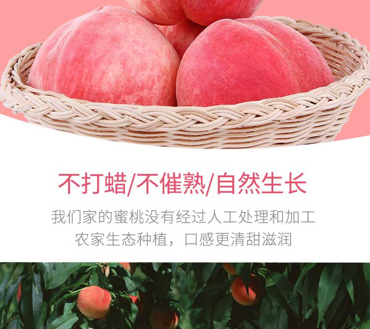 桃子水蜜桃 当季孕妇水果新鲜 净重5斤 约20个左右